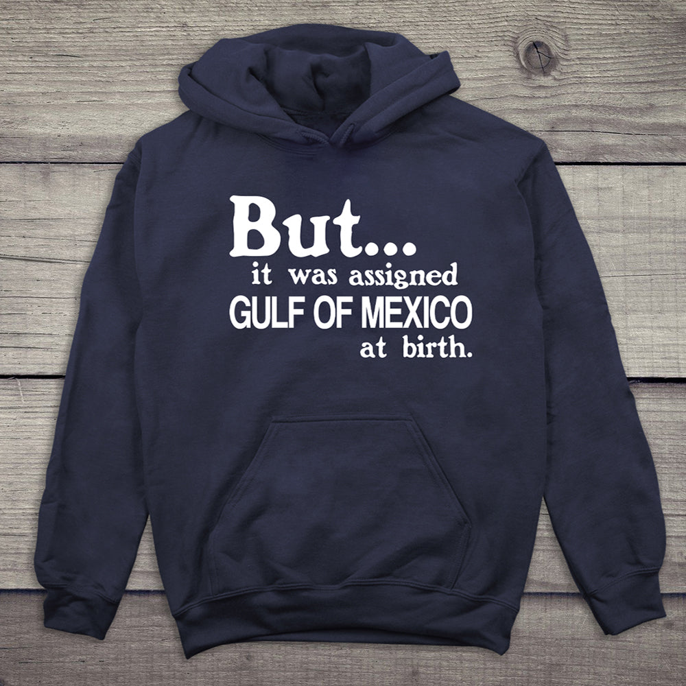 Assigned Gulf Of America Hoodie