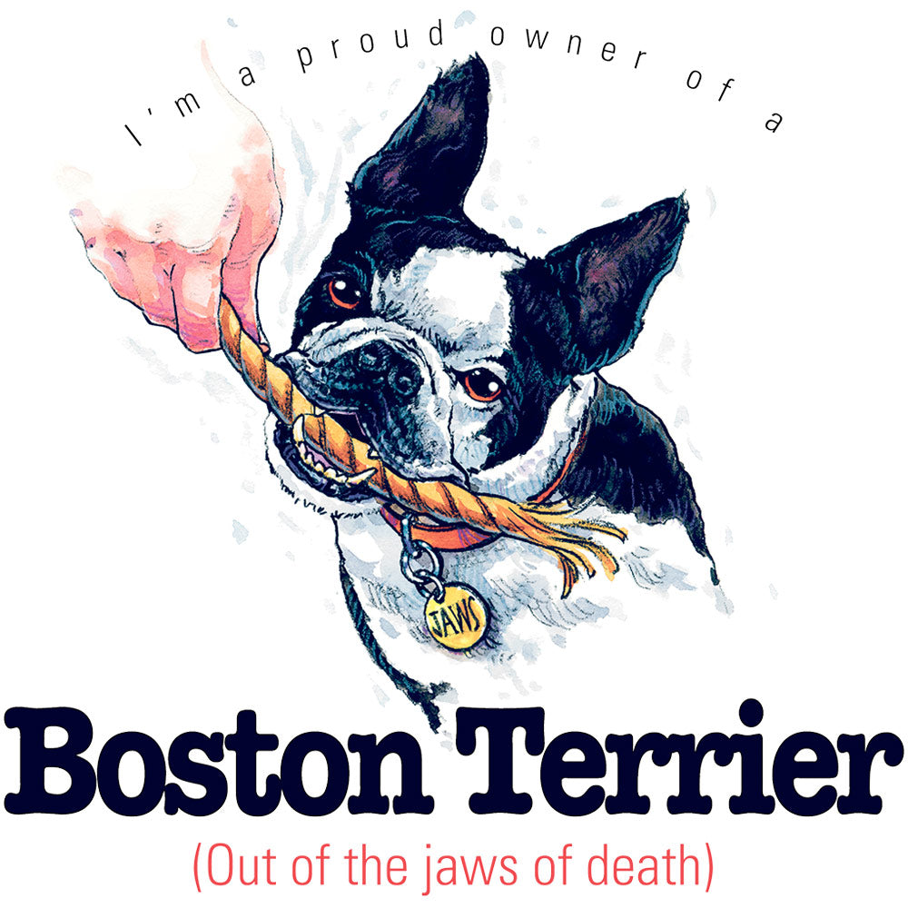 Boston Terrier T-Shirt, Furry Friends Dogs