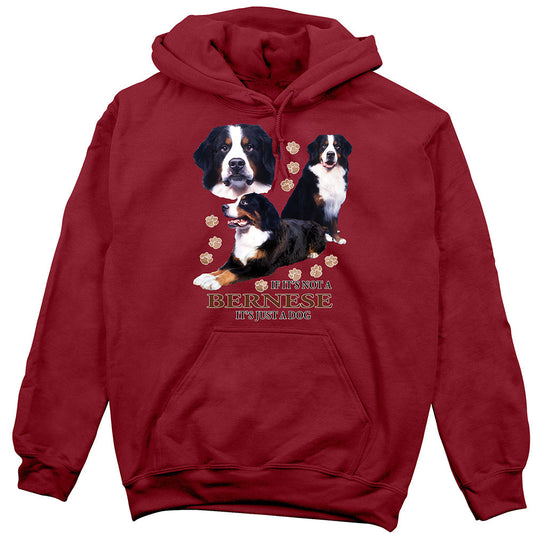 Bernese Hoodie, Not Just a Dog
