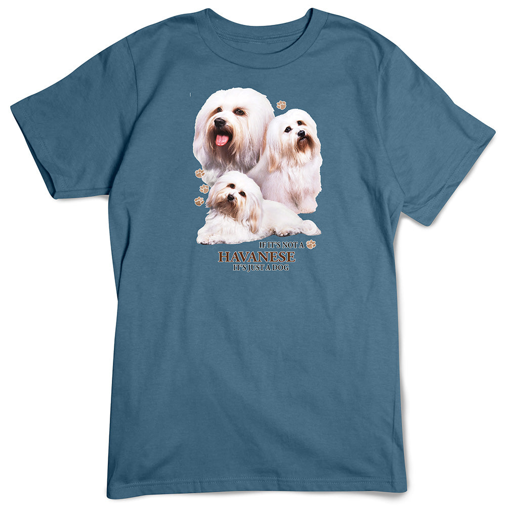 Havanese T-Shirt, Not Just a Dog