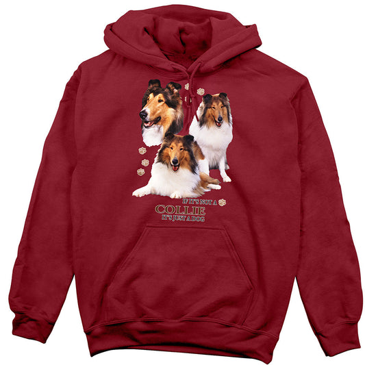 Collie Hoodie, Not Just a Dog