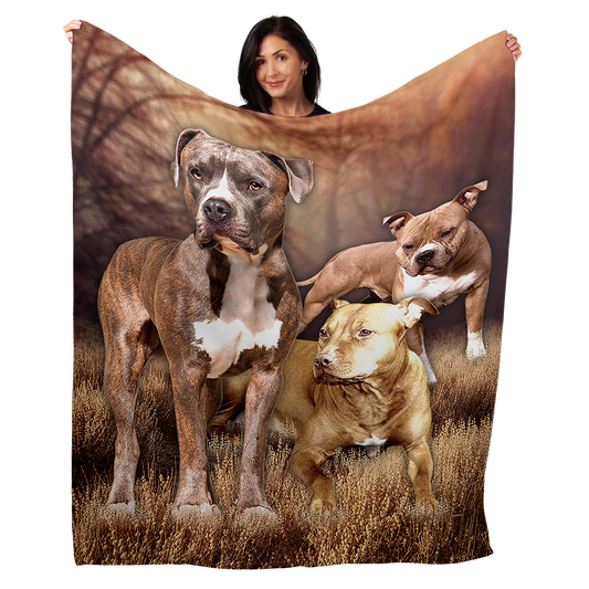 Pitbull 50" x 60" Fleece Blanket