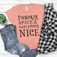 Pumpkin Spice & Everything Nice T-shirt, Autumn Tee