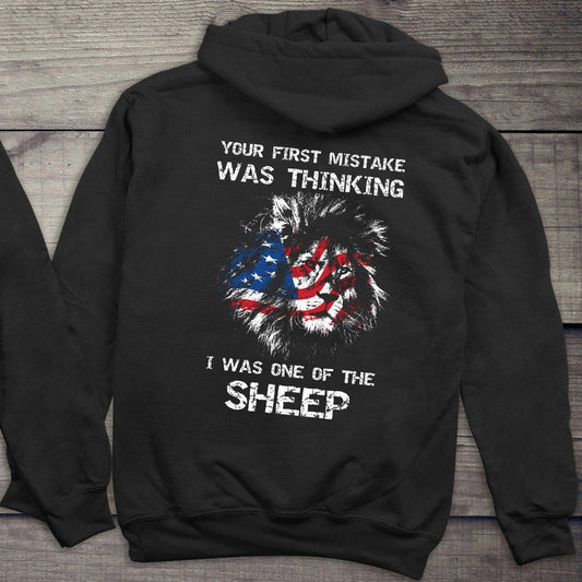 American Pride Hoodie, First Mistake Hooded Sweatshirt