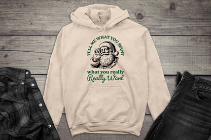 Tell Me What You Want Santa Hoodie