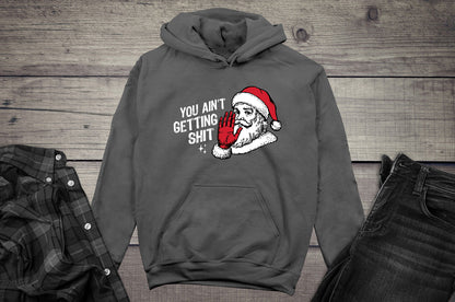 You Ain’t Getting Shit Hoodie