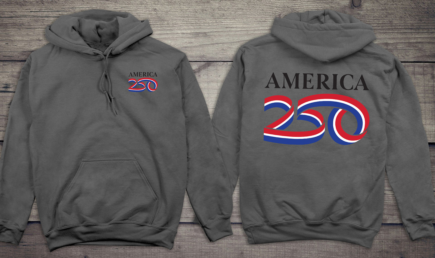 Official USA 250 Black Hoodie