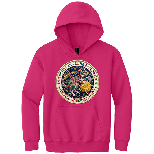 Youth Interstellar Feline Faux Broidery Hoodie