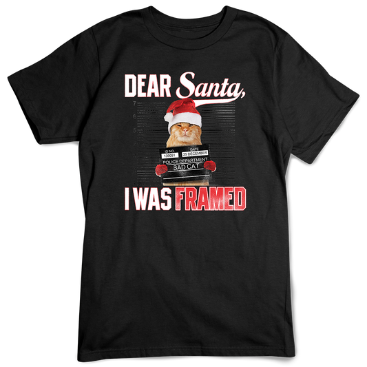 Christmas Cat T-shirt, Santa I Was Framed