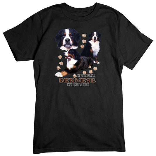 Bernese T-Shirt, Not Just a Dog