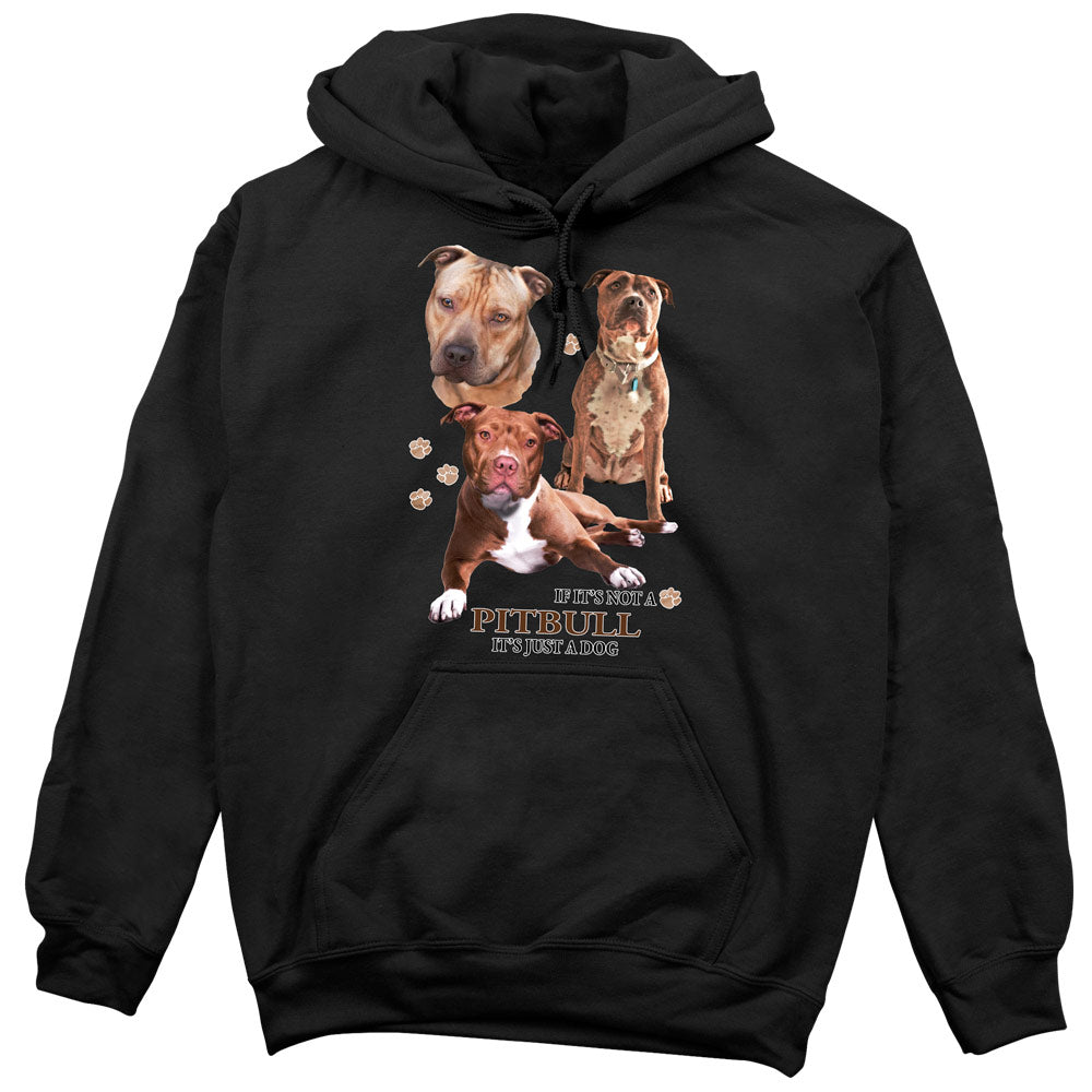 Pitbull Hoodie, Not Just a Dog