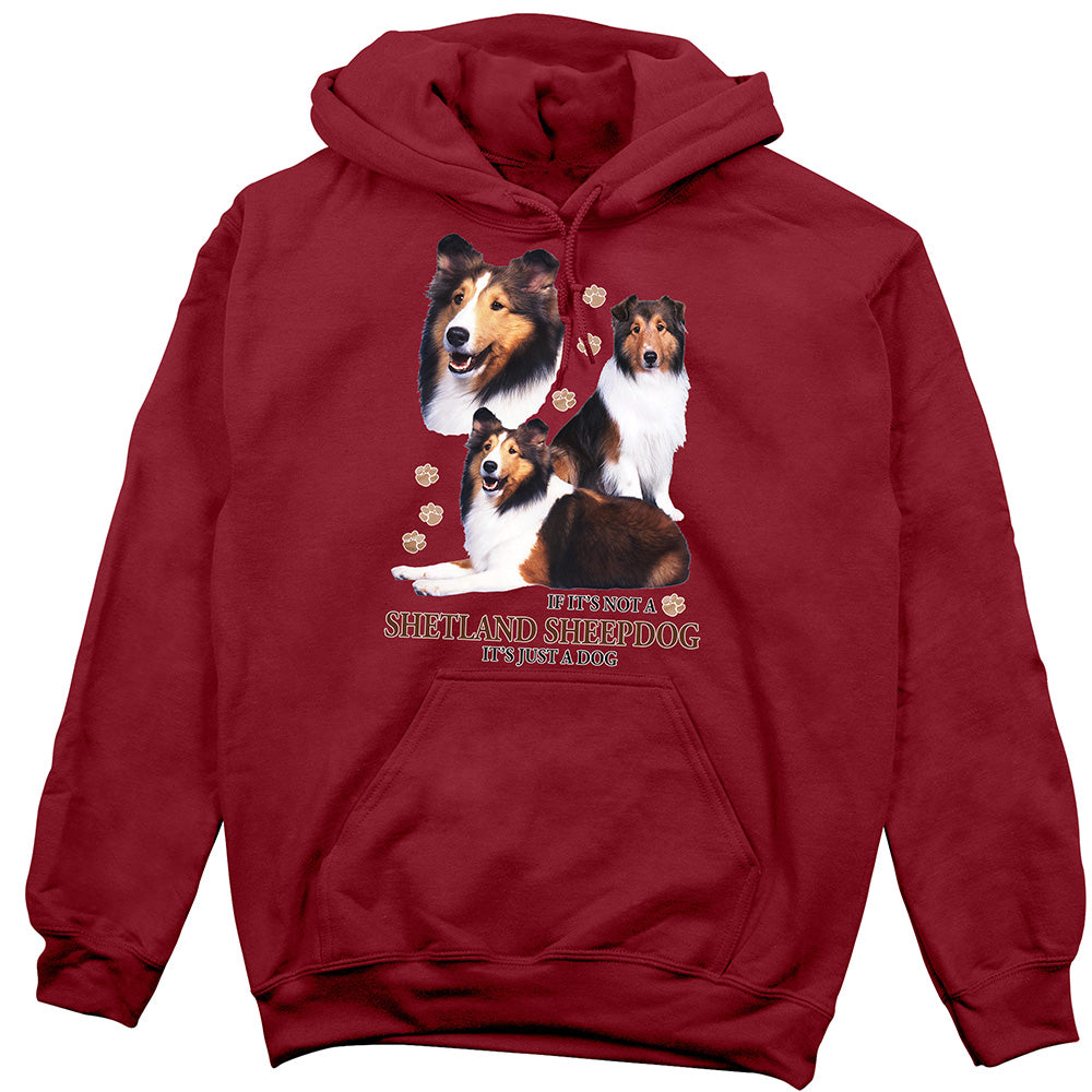 Shetland Sheepdog Hoodie, Not Just a Dog