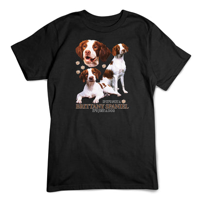 Brittany Spaniel T-Shirt, Not Just a Dog