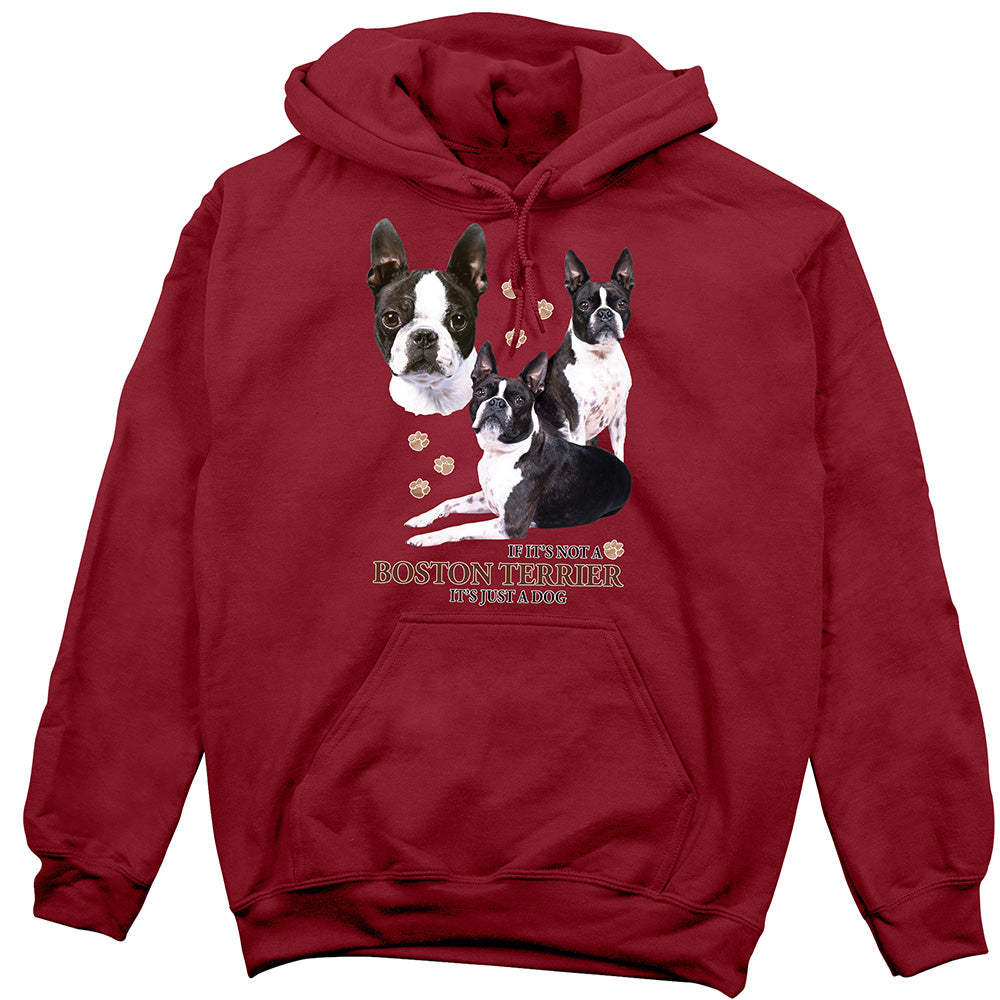 Boston Terrier Hoodie, Not Just a Dog