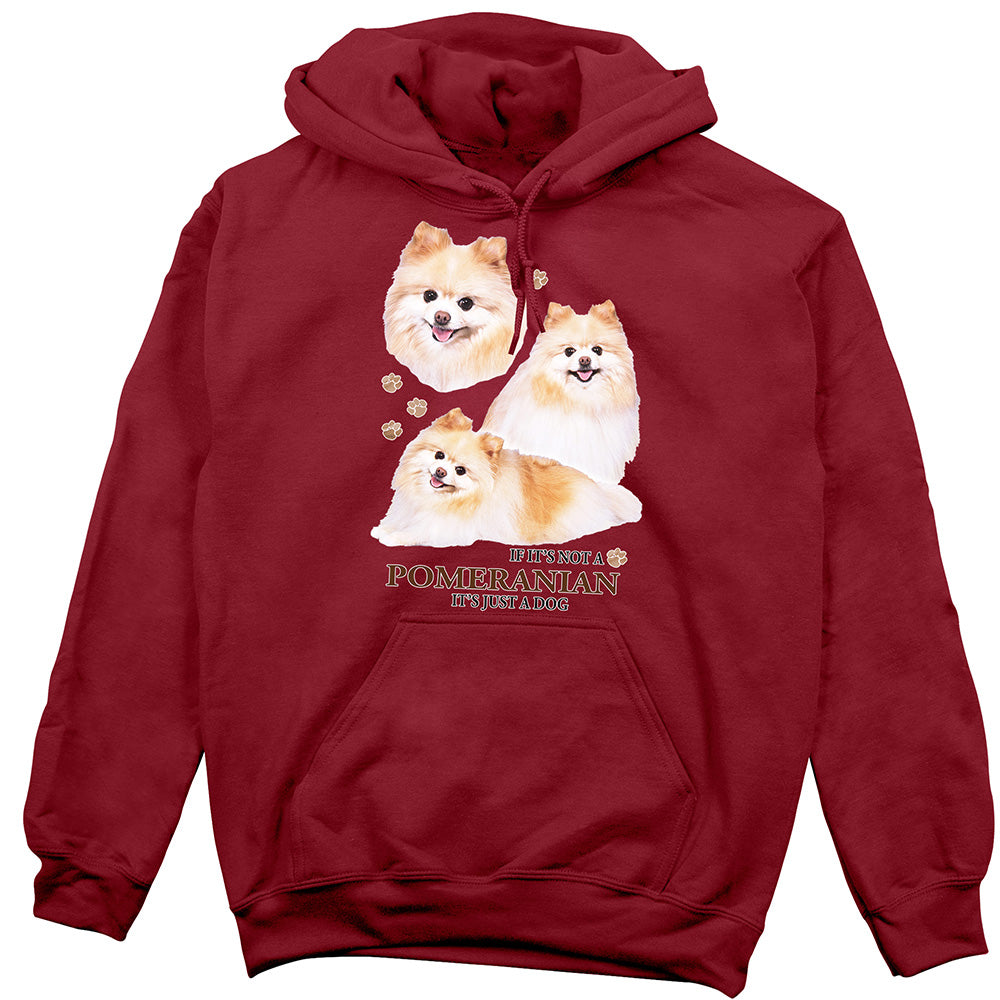 Pomeranian Hoodie, Not Just a Dog