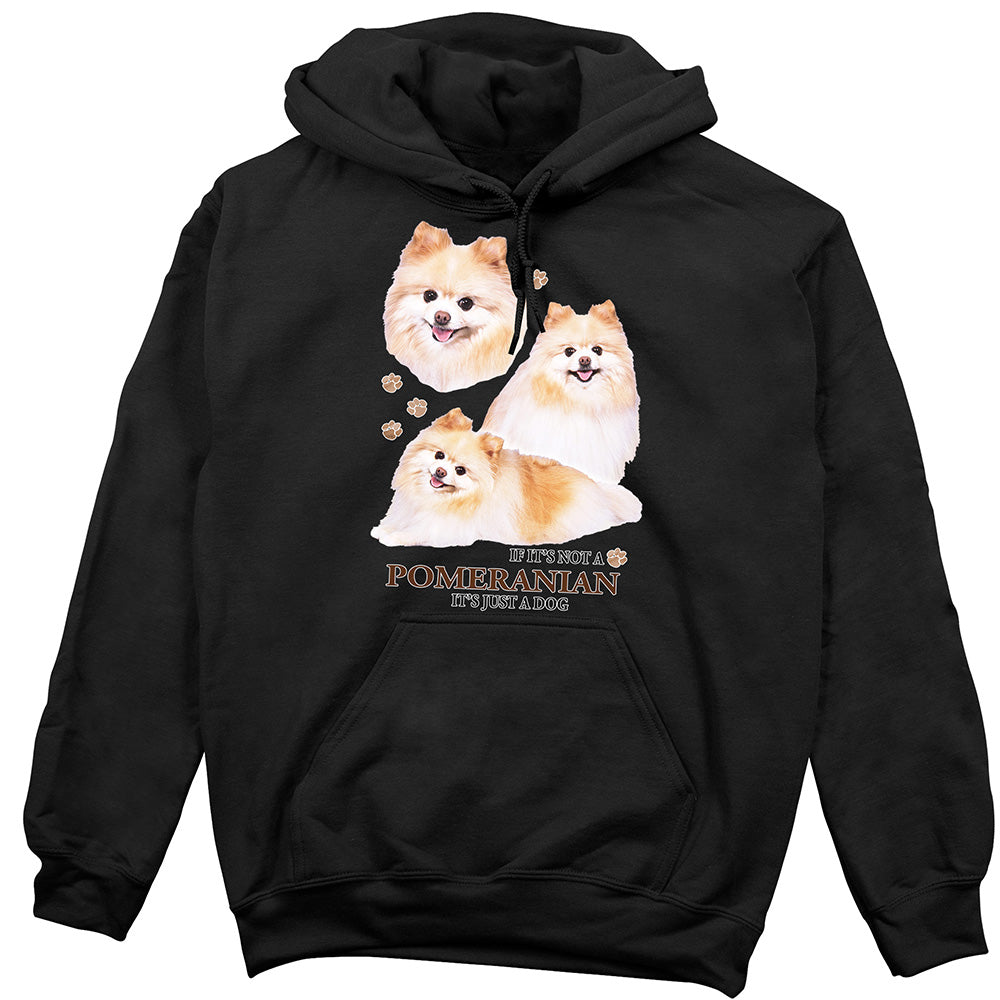 Pomeranian Hoodie, Not Just a Dog