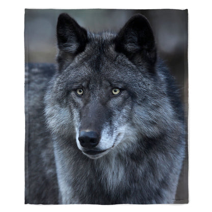 Black Wolf Portrait 50" x 60" Fleece Blanket