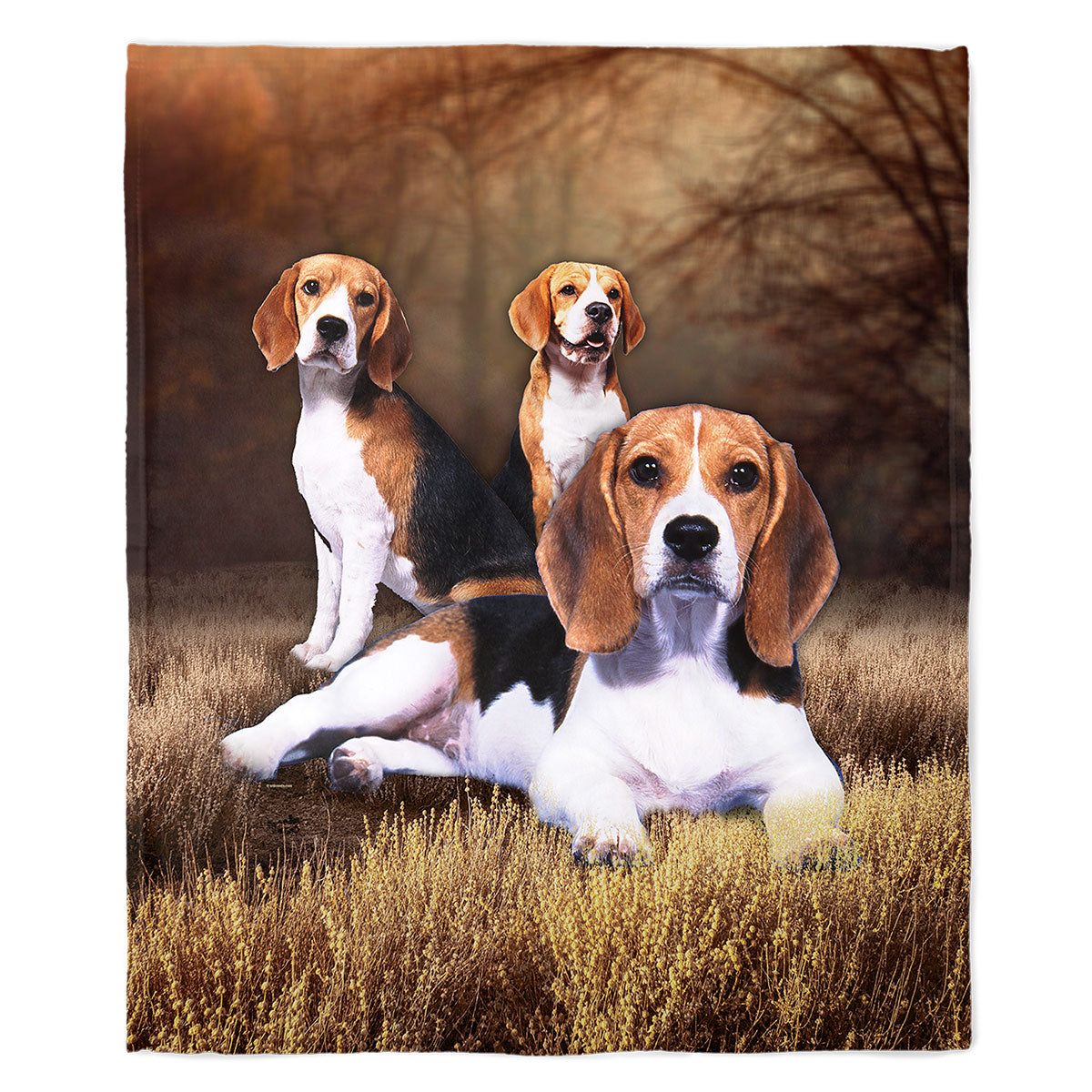 Beagle 50" x 60" Fleece Blanket