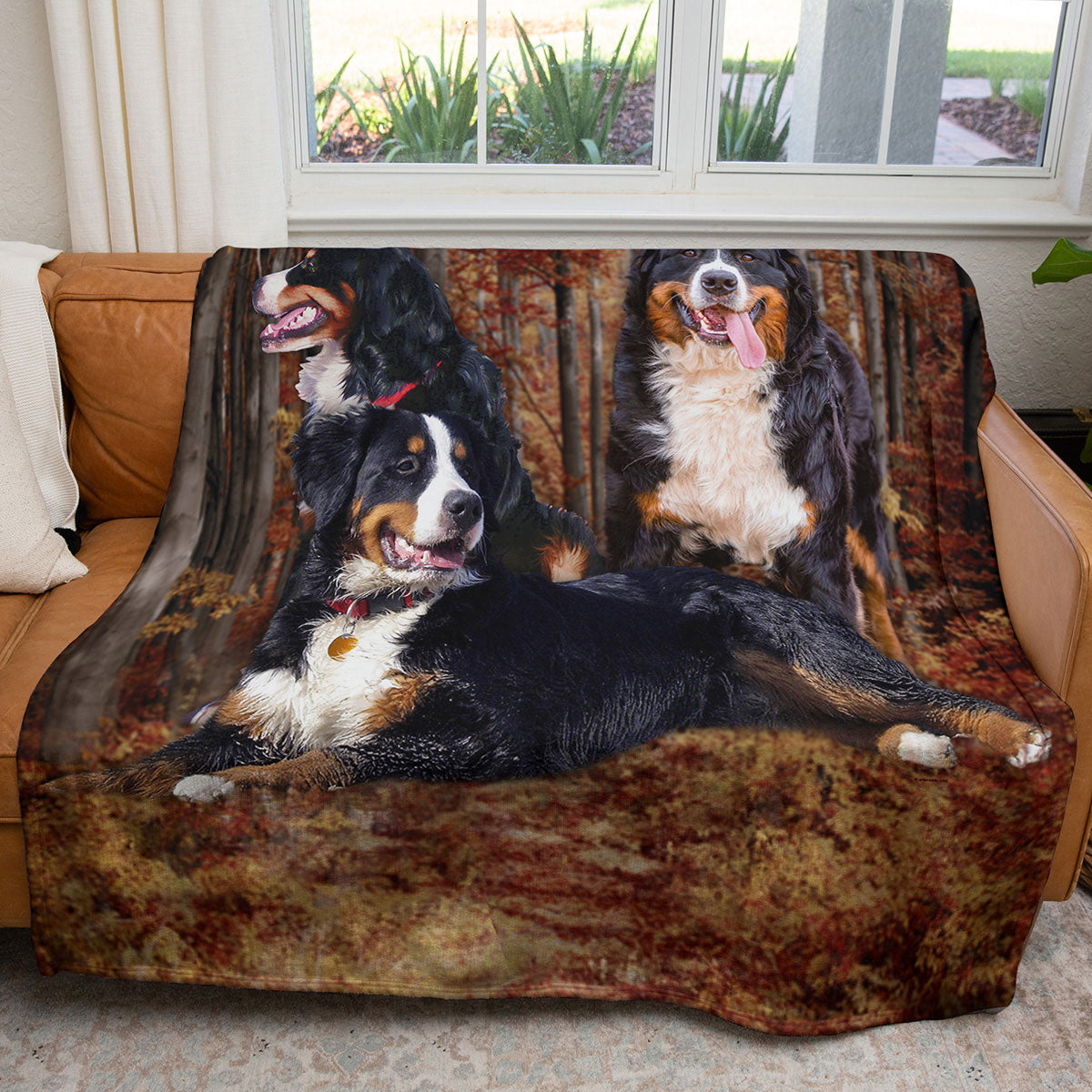 Bernese Mountain Dog 50" x 60" Fleece Blanket