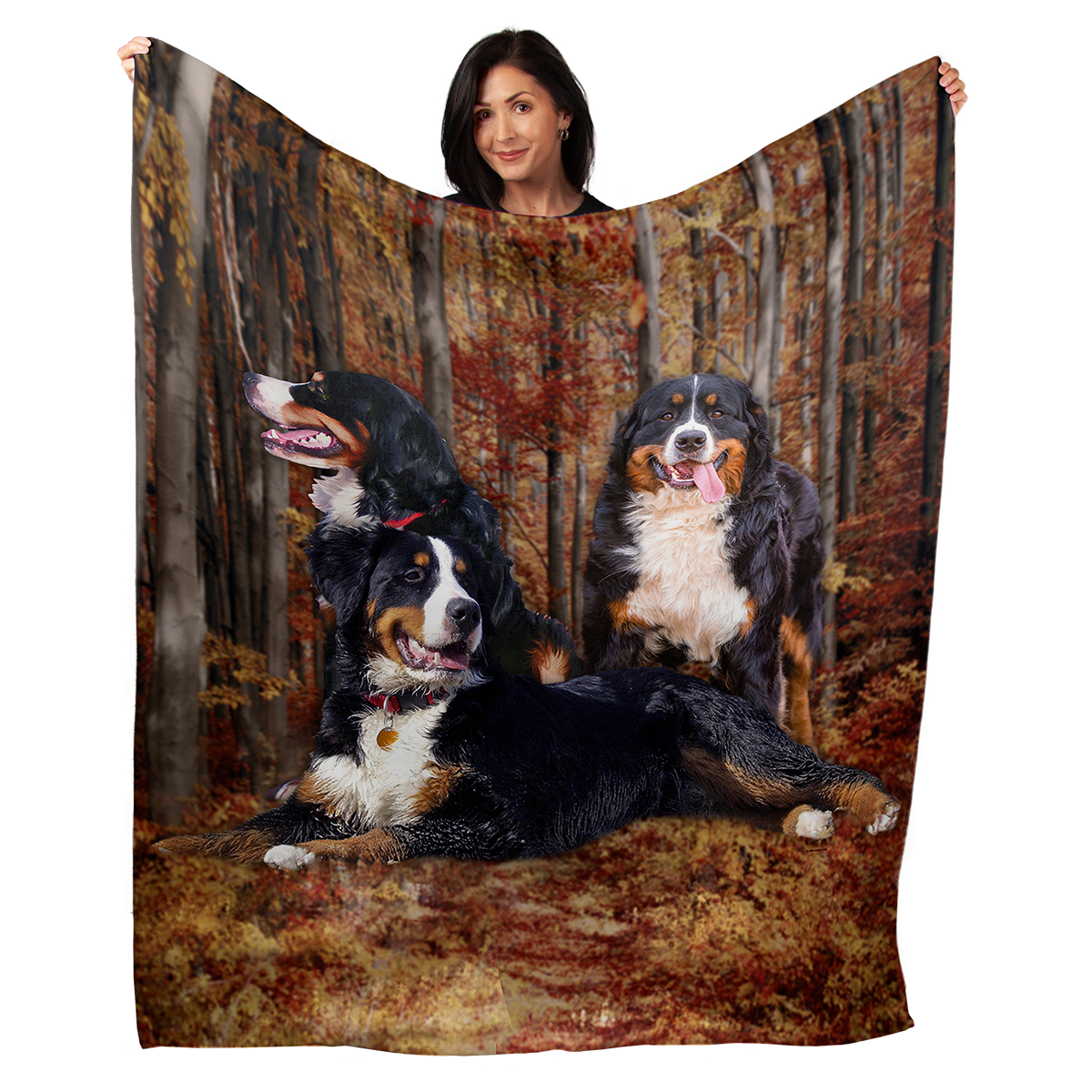 Bernese Mountain Dog 50" x 60" Fleece Blanket