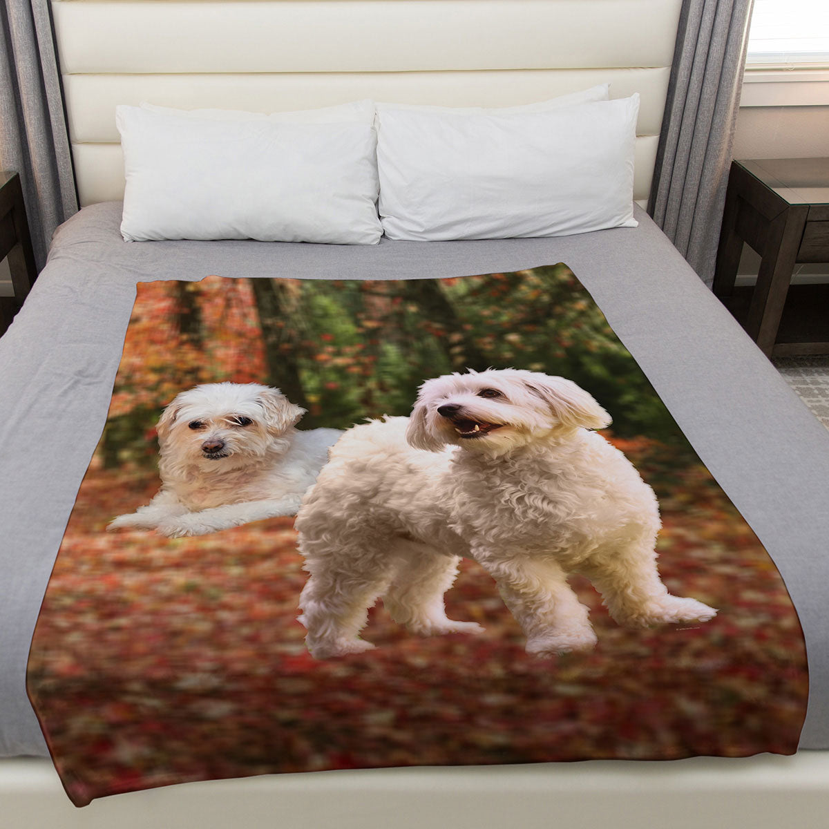 Bichon Frise 50" x 60" Fleece Blanket