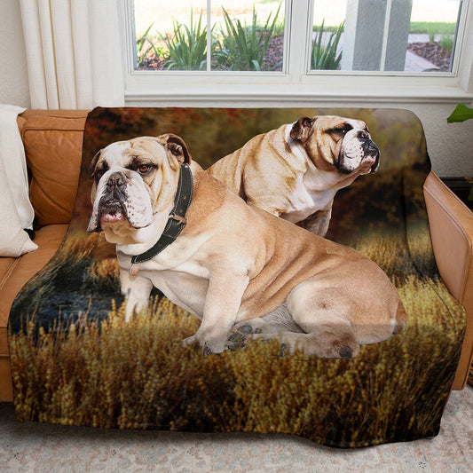 Bulldog 50" x 60" Fleece Blanket