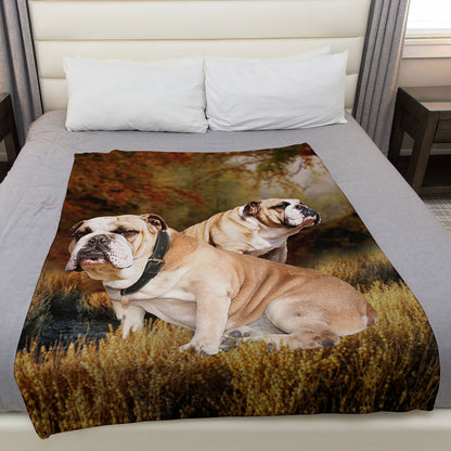 Bulldog 50" x 60" Fleece Blanket