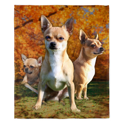 Chihuahua 50" x 60" Fleece Blanket