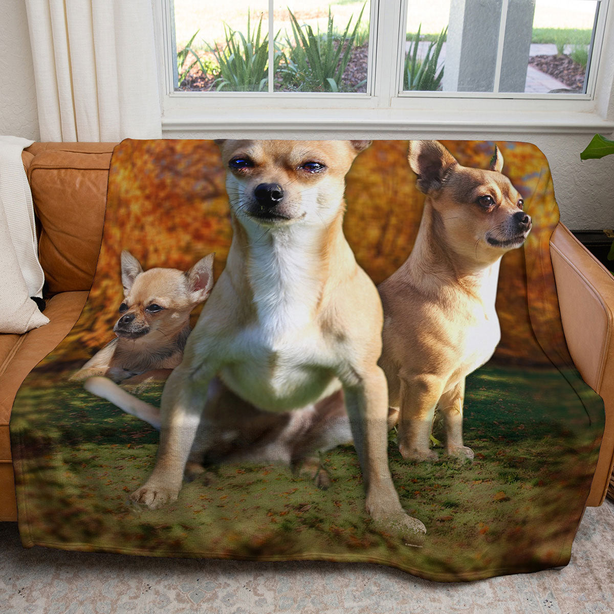 Chihuahua 50" x 60" Fleece Blanket