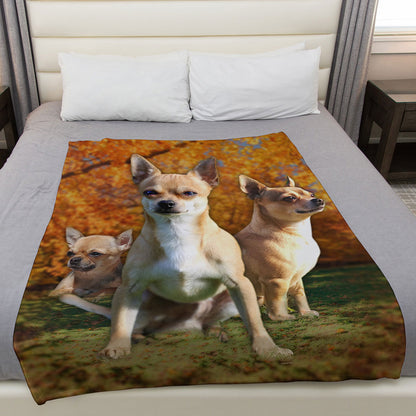 Chihuahua 50" x 60" Fleece Blanket