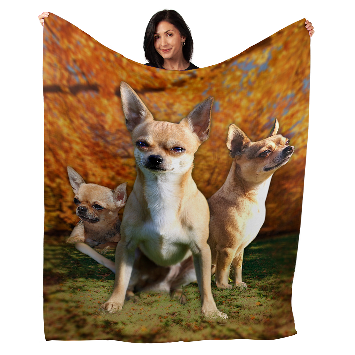 Chihuahua 50" x 60" Fleece Blanket