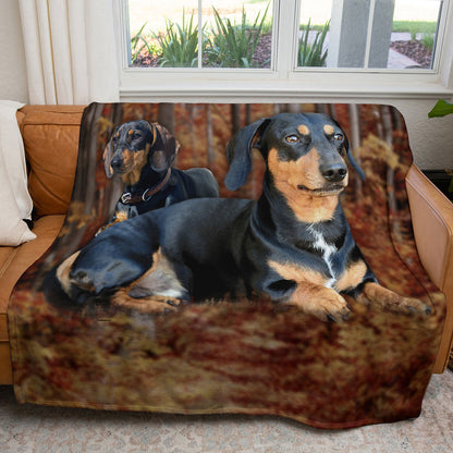 Dachshund 50" x 60" Fleece Blanket