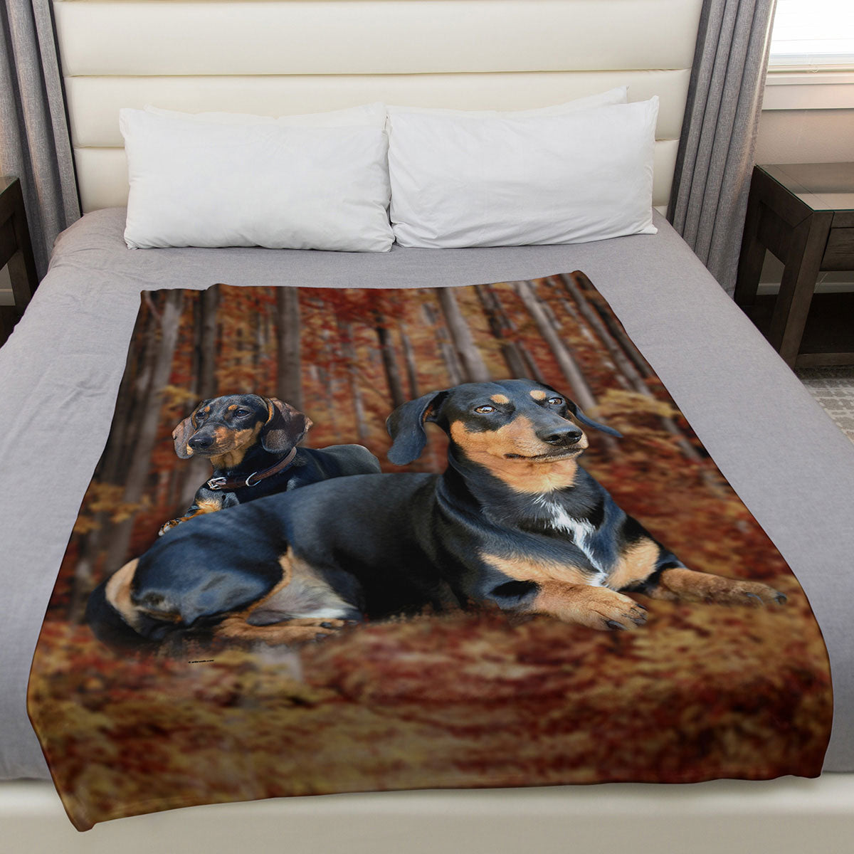 Dachshund 50" x 60" Fleece Blanket