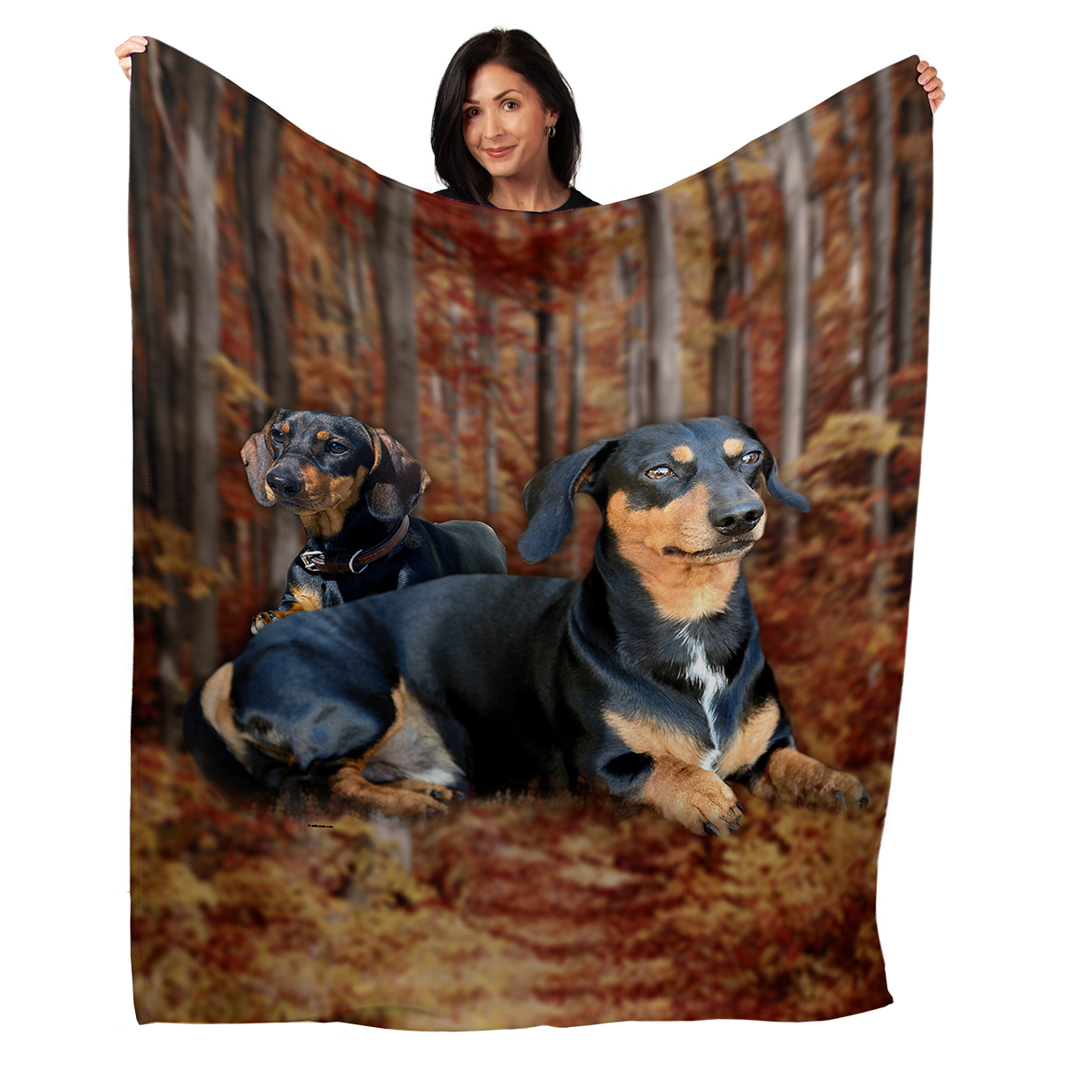 Dachshund 50" x 60" Fleece Blanket