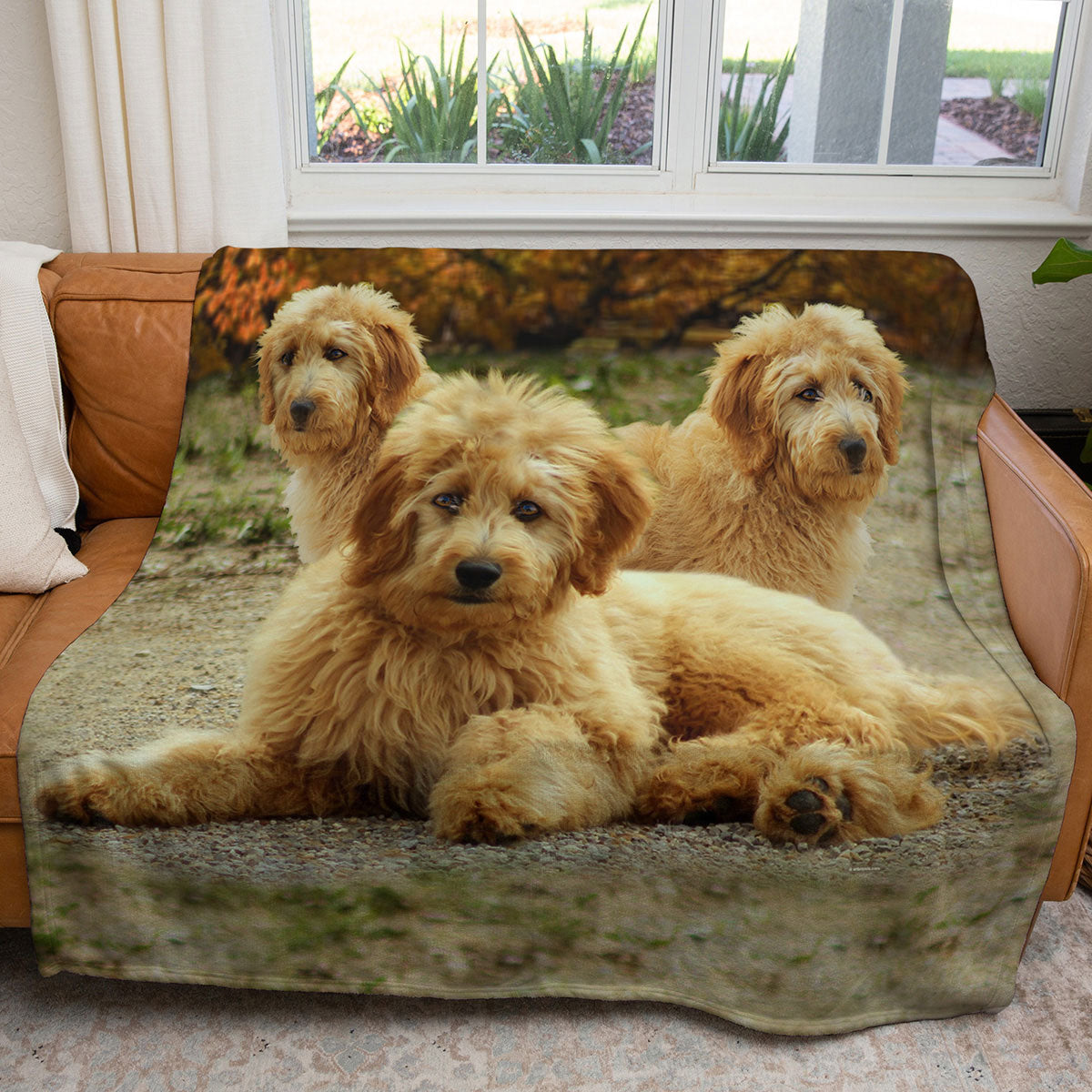 Golden Doodle 50" x 60" Fleece Blanket