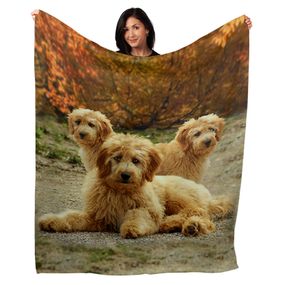 Golden Doodle 50" x 60" Fleece Blanket