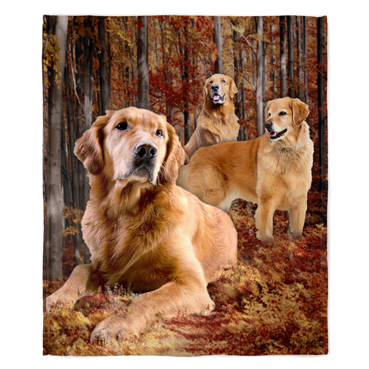 Golden Retriever 50" x 60" Fleece Blanket