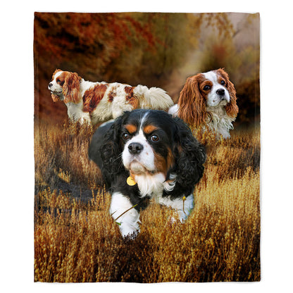 King Charles Spaniel 50" x 60" Fleece Blanket