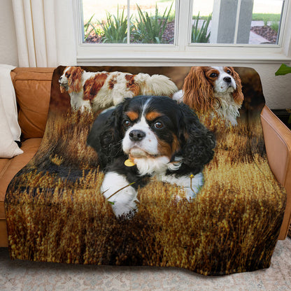 King Charles Spaniel 50" x 60" Fleece Blanket