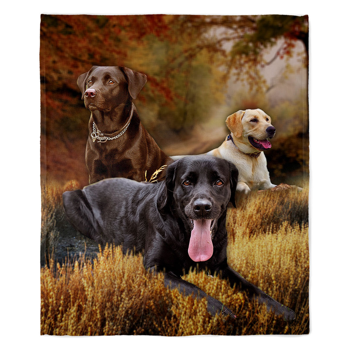 Labrador Retriever 50" x 60" Fleece Blanket