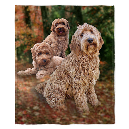 Labradoodle 50" x 60" Fleece Blanket