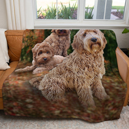 Labradoodle 50" x 60" Fleece Blanket