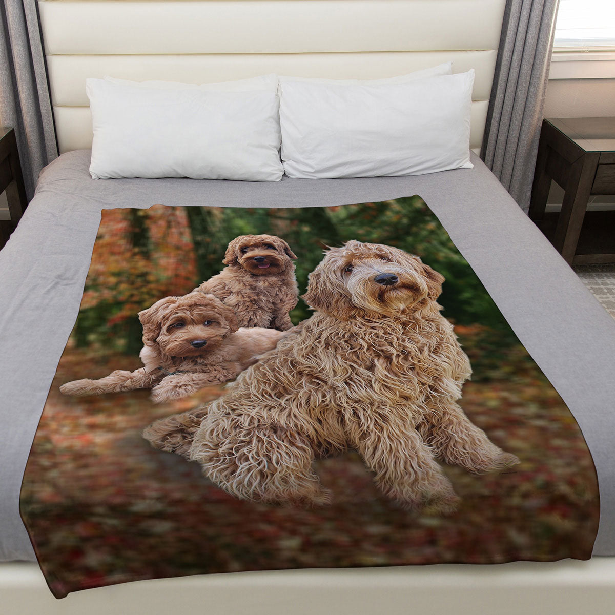 Labradoodle 50" x 60" Fleece Blanket