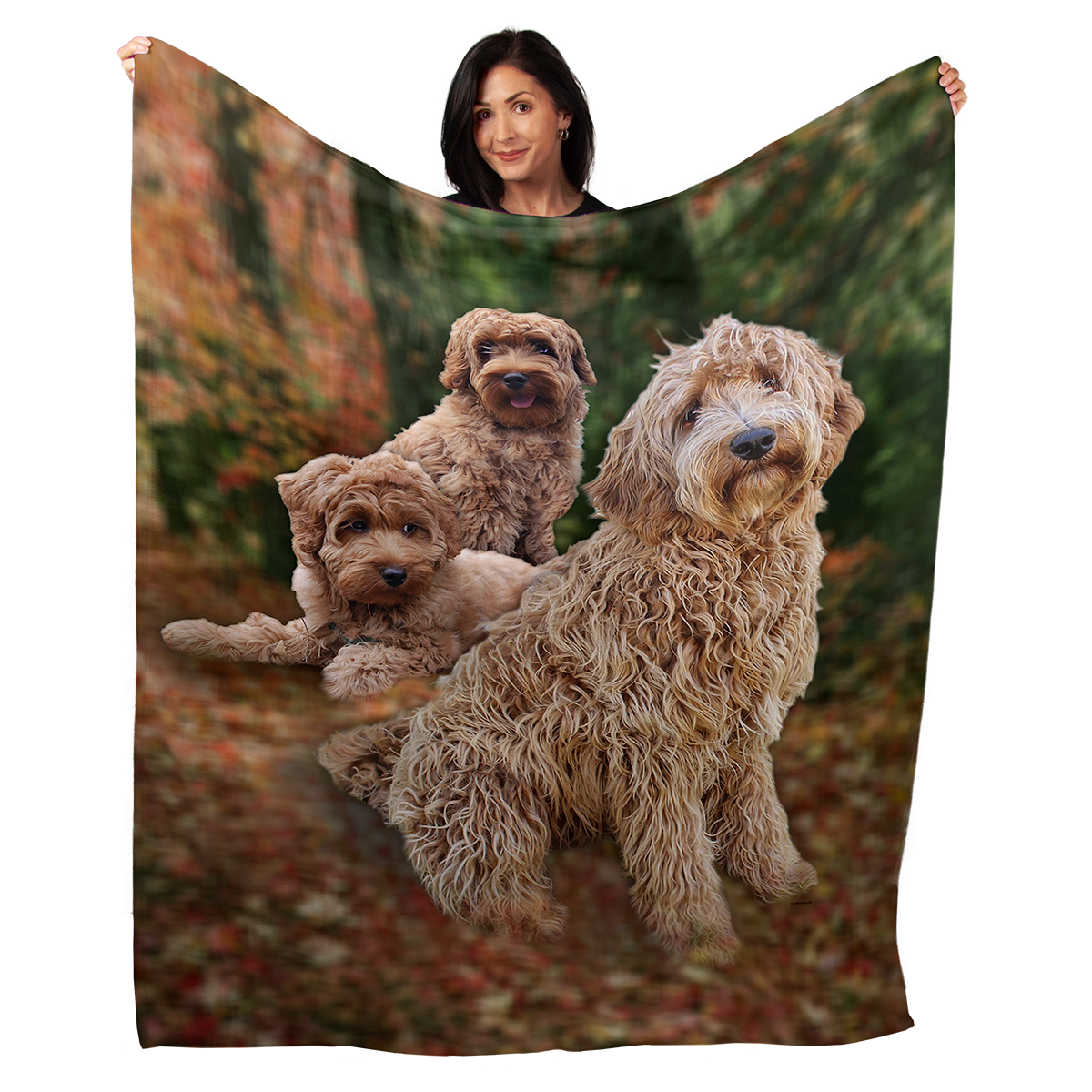 Labradoodle 50" x 60" Fleece Blanket