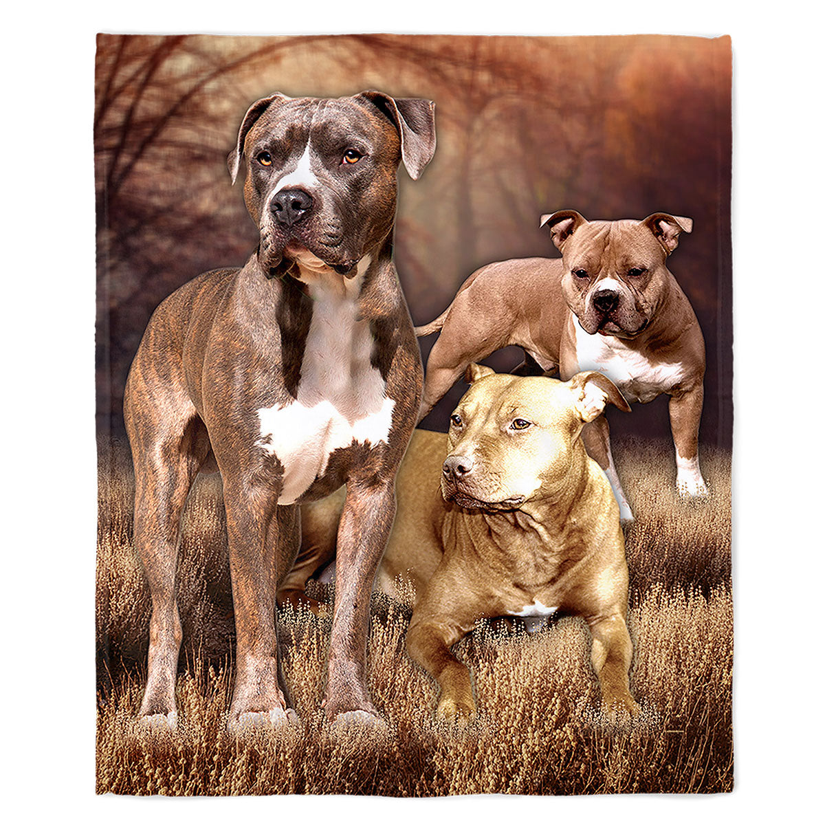 Pitbull 50" x 60" Fleece Blanket