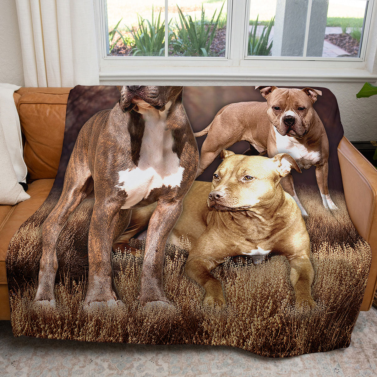 Pitbull 50" x 60" Fleece Blanket