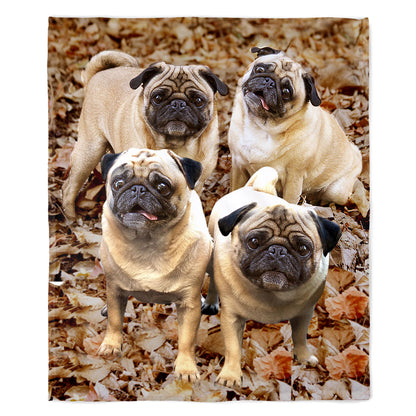 Pug 50" x 60" Fleece Blanket