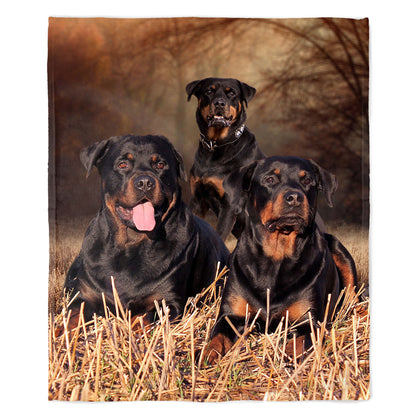 Rottweiler 50" x 60" Fleece Blanket