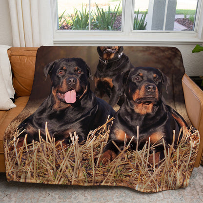 Rottweiler 50" x 60" Fleece Blanket