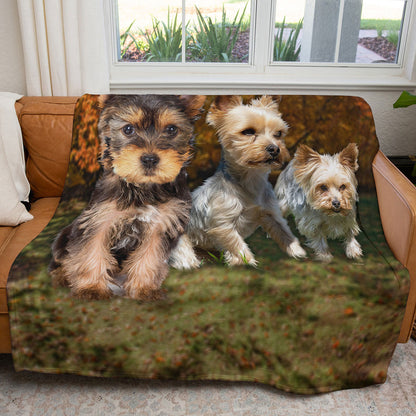 Yorkie 50" x 60" Fleece Blanket